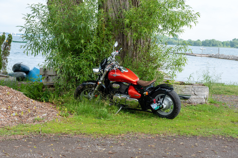 Illustration for article titled Pics from the Curbside: 2019-06-29 and 30 from Wolfe Island and Portsmouth Olympic Harbour